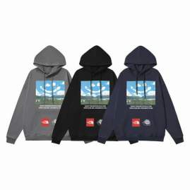 Picture of The North Face Hoodies _SKUTheNorthFaceM-XXL6ct6683986253